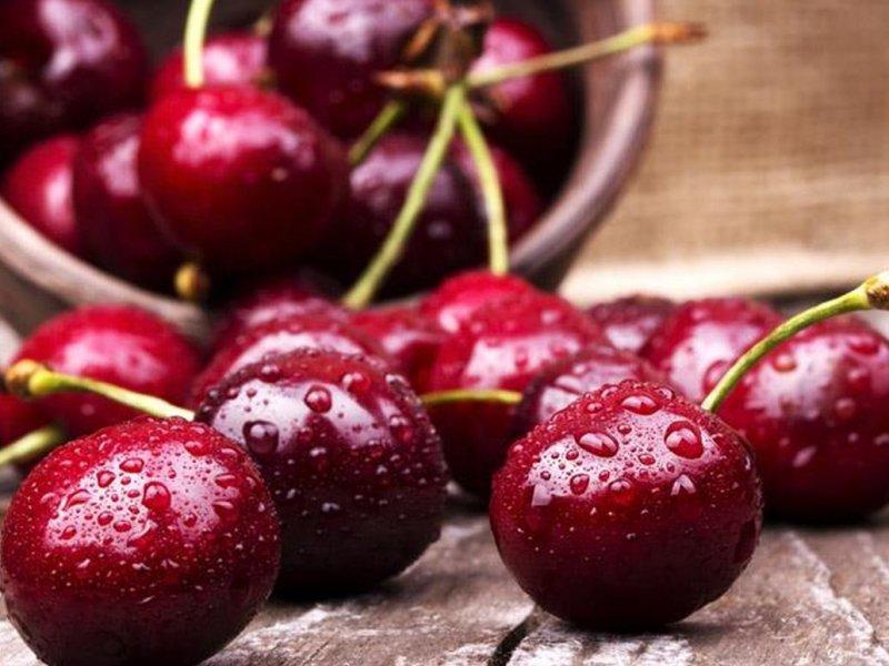 Вишня купить саженцы из питомника в Севастополе